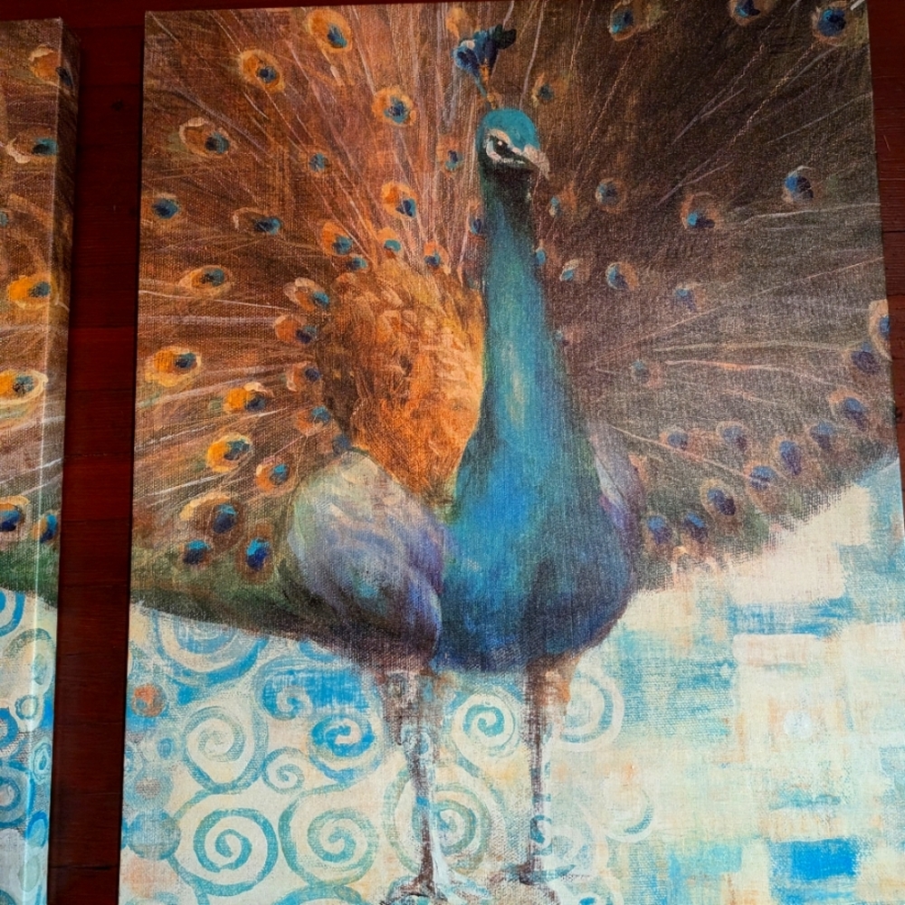 Peacock painting